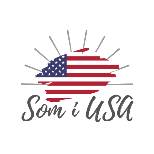 amerikansk mad fra hele verden